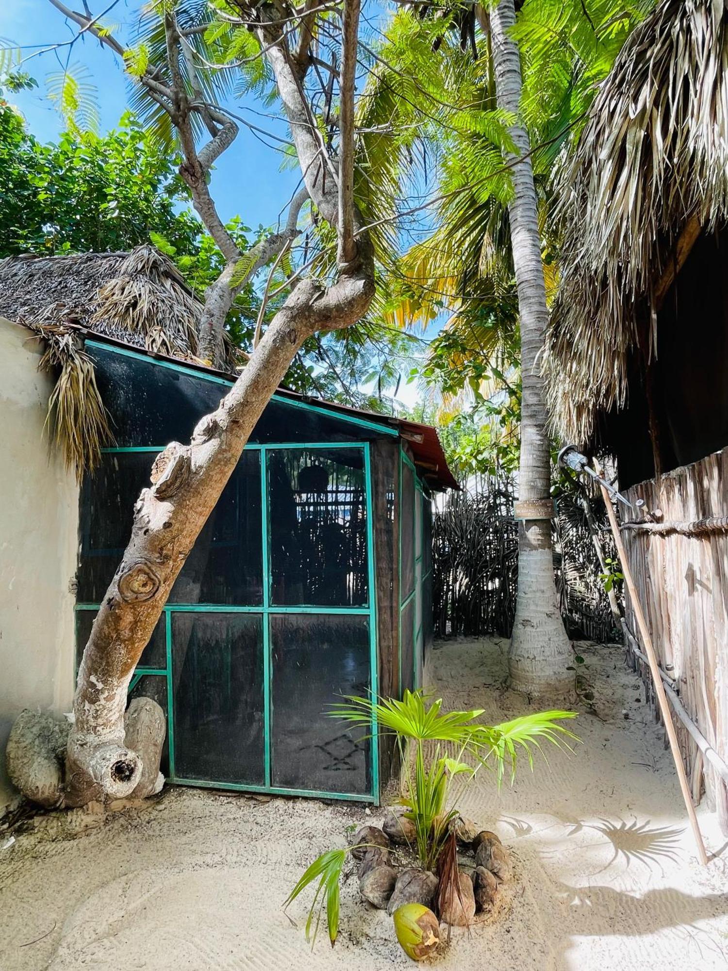 Casa Jade Ecobungalows Las Coloradas Yuluc Δωμάτιο φωτογραφία